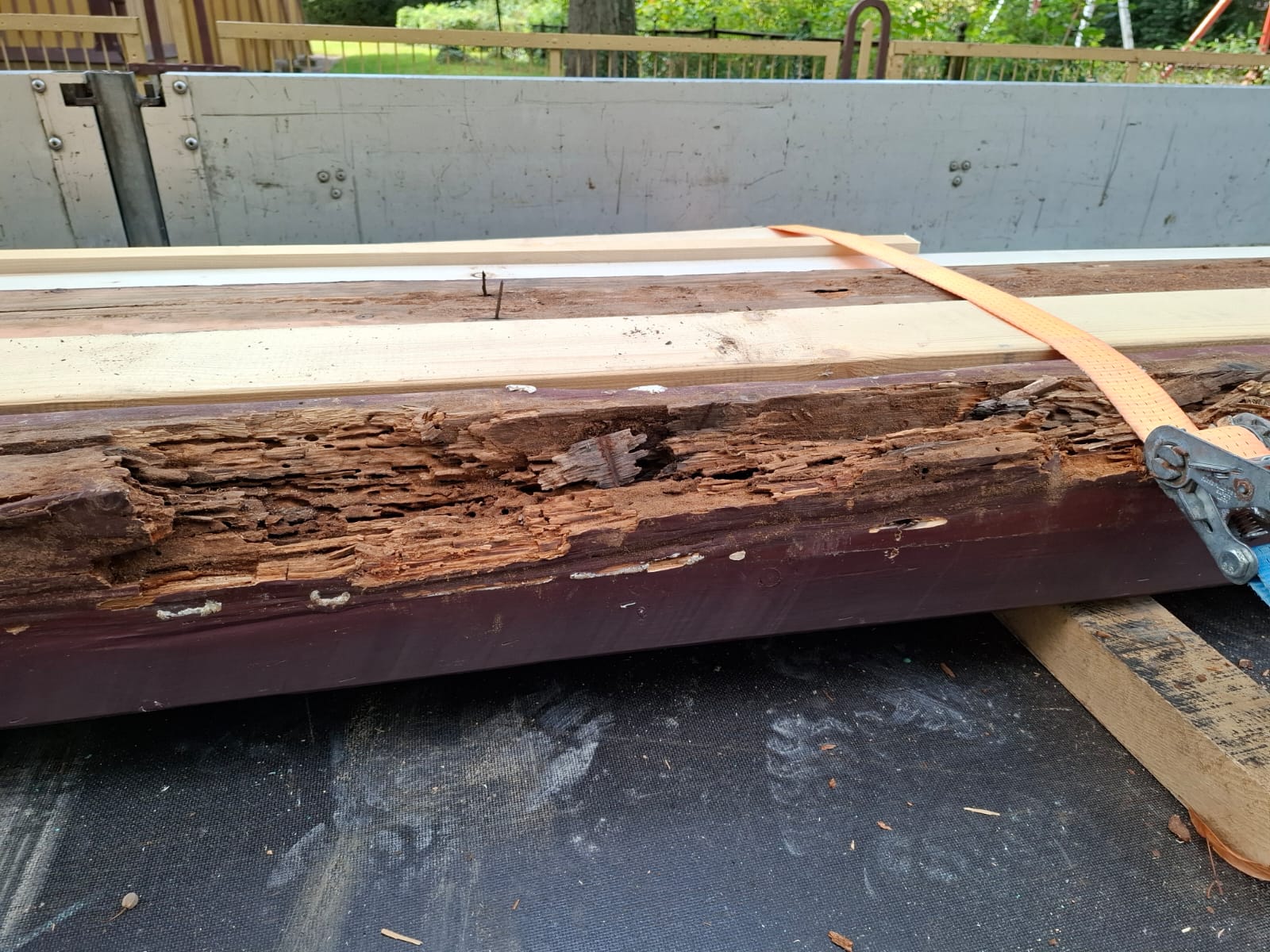 rotte Dachtr&auml;ger