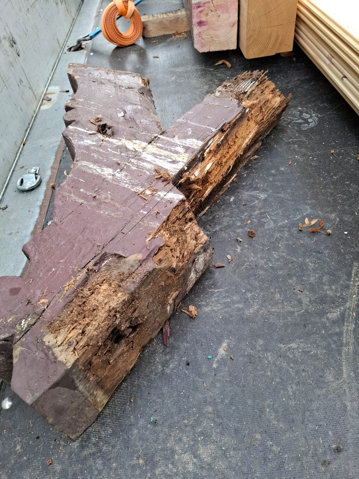 rotte Dachtr&auml;ger